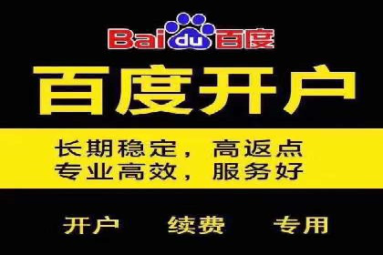 某行业竞价推广的挑战与机遇——多案例研究